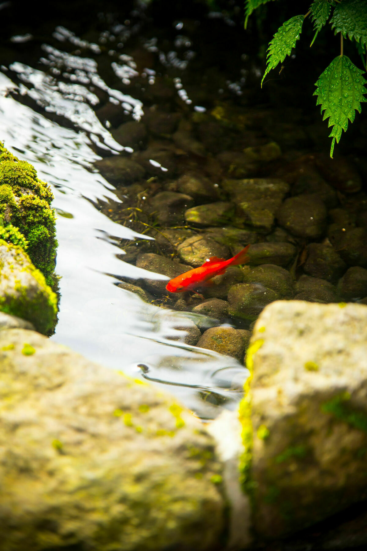 료칸 여명 旅館 黎明 Ryokan Reimei Yufu Dış mekan fotoğraf